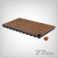 Produktbild: Eazy Plug Anzuchtplatte 77 Stk - Stecklinge/Samen pH 5,8 organisch hohe Keimrate