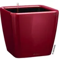 Produktbild: Lechuza Übertopf QUADRO LS 21 rot hochglanz, 22,5 x 22,5 x 20,5 cm, quadratisch, Kunststoff