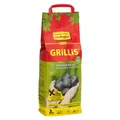 Produktbild: ProFagus Holzkohlebriketts Grillis 3 kg (3 kg) (60001055)
