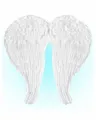 Produktbild: Horror-Shop Kostüm-Flügel Weiße Engelsflügel mit Federn 67x64cm