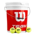 Produktbild: Wilson Tennisball Team W Trainer - 72 Tennisbälle - Drucklose Bälle - (72er Eimer)