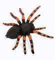 Produktbild: Fries Tierfigur Halloween XXL Deko Spinne 10 x 10 cm 2 Farben Fasching Karneval