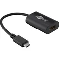 Produktbild: Goobay USB-C auf HDMI Adapter (HDMI, 20 cm) (38532)