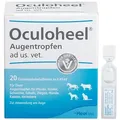 Produktbild: OCULOHEEL Augentropfen ad us.vet.Einzeldosispipet. 20 St