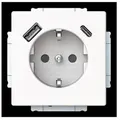 Produktbild: Busch-Jaeger SCHUKO Steckdose 20 EUCB2USBAC-884