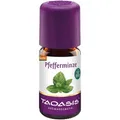 Produktbild: Pfefferminzöl BIO 5 ml