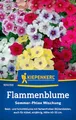 Produktbild: Kiepenkerl Flammenblumensamen Sommer-Phlox Mischung 1014700 - Einjährige Blume mit einer Wuchshöhe von 40 bis 50 cm und einem Inhalt für 80 Pflanzen - Blumensamen, Saatgut