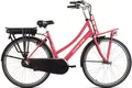 Produktbild: Hollandia E-Bike Cityrad Carry On, 3 Gang Shimano Nexus Schaltwerk, Nabenschaltung, Frontmotor, 468 Wh, Pedelec, Elektrofahrrad für Damen u. Herren