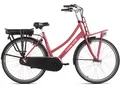Produktbild: E-Bike HOLLANDIA 