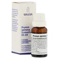 Produktbild: Prunus Spinosa Summitates RH D3, 20 ml