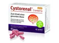 Produktbild: Quiris Healthcare GmbH & Co. KG CYSTORENAL Cranberry plus Kapseln 32,7 g 05022549