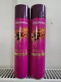 Produktbild: Sprühgold classic 2x600 ml Goldwell Haarspray