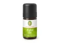 Produktbild: Primavera Fahr fit Duftmischung 5ml (2580 EUR/l)