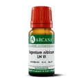 Produktbild: ARGENTUM NITRICUM LM 6 Dilution 10 ml