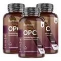 Produktbild: WeightWorld OPC (French Grapeseed Extract) 1000 mg 240 Capsules