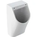 Produktbild: Geberit Wandurinal Renova Plan Zulauf Ablauf hinten Spülrand Deckel Weiß