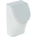 Produktbild: Renova Plan Urinal Mit Deckel, Zulauf Von Hinten, Abgang - Geberit