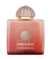 Produktbild: Amouage Extrait Collection Guidance 46 Parfum 100 ml