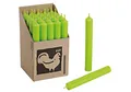 Produktbild: Wurm - Stabkerze Farbe: apfelgrün (B/H/T) 2x18x2cm
