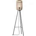 Produktbild: Brilliant Stehlampe Woodrow Braun