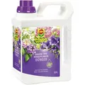 Produktbild: Compo Dünger Balkon- und Kübelpflanzendünger, Flüssigdünger, extra Eisen, 2,5 Liter