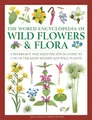 Produktbild: The World Encyclopedia of Wild Flowers & Flora: A Reference and Identification Guide to 1730 of the World's Most Significant Wild Plants