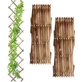 Produktbild: Relaxdays - Rankgitter, ausziehbar, 3er Set, Rankhilfe für Kletterpflanzen, 180 cm, Garten, Balkon & Terrasse, Holz, braun