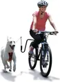 Produktbild: SPRINGER Fahrradhalter für Hunde