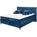 Produktbild: Kollektion Kraft Boxspringbett  Pembroke ¦ blau ¦ Maße (cm): B: 200 H: 121