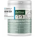 Produktbild: 100 g AniForte Grünlippmuschel Pulver