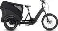 Produktbild: Cube Trike Hybrid Cargo 750 24'' / 20'' Pedelec E-Bike Dreirad Lastenrad grau 2026 Herren