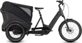 Produktbild: Cube Trike Cargo Hybrid 750 Wh E-Lastenrad 24