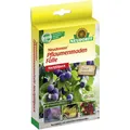 Produktbild: Neudorff Neudomon PflaumenmadenFalle Nachfüllset Madenfalle Obstmadenfalle
