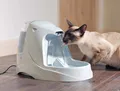 Produktbild: PetSafe Haustierbrunnen Drinkwell® - Platin   Hund Katze Trinkbrunnen Trinknapf