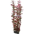 Produktbild: Ludwigia, 34 Cm - Kunststoffpflanze Für Aquarien - Hobby