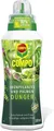 Produktbild: COMPO Grünpflanzen Palmendünger Zimmer Balkon Terrasse Flüssigdünger 500 ml