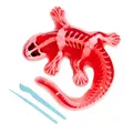 Produktbild: Simba Scout Dissect-It Salamander, zum Sezieren, 14cm, Skelett und Organe zum Zusammenbauen, Nachfüllset, Werkzeuge, ab 5 Jahren