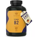 Produktbild: Vitamin B2 – 240 Kapseln (8 Monate Vorrat) – Riboflavin Vegan - TRUE NATURE®