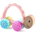 Produktbild: Hape Rennschildkröte Rike (E8516)
