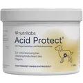 Produktbild: Acid Protect 250g - 100 Kautabletten