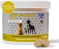 Produktbild: Acid Protect Unterstützung Magenschleimhaut Säurebelastung