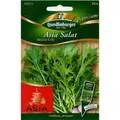 Produktbild: Asiasalat Mizuna Early für ca 60 Pflanzen Samen Schnittsalat Gemüse Blattgemüse