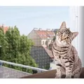 Produktbild: Jollypaw Schutznetz 3 m × 2 m