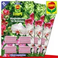 Produktbild: COMPO 3 Pack à 20 Stück Düngestäbchen für Orchideen | 3 Monate Langzeitwirkung
