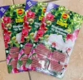 Produktbild: COMPO 3 Pack à 20 Stück Düngestäbchen für Orchideen | 3 Monate Langzeitwirkung