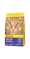 Produktbild: JOSERA DailyCat (1 x 2 kg) | Adult | Premium Trockenfutter für ausgewachsene Katzen | Geflügel & Süßkartoffel | erlesene Kräuter & gesunde Früchte | getreidefrei | Katzenfutter | 1er Pack