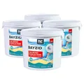 Produktbild: Höfer Chemie 4 x 5 kg (20 kg) Pool Chlor Tabletten 20g BAYZID schnell löslich mit 56% Aktivchlorgehalt für Pool & Schwimmbad