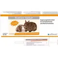Produktbild: Rodicare Hairball Susp.f.Meerschw./Zwergkaninchen 3X12 ml