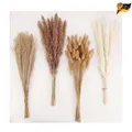 Produktbild: Trockene Pampasgrasdekoration 100 Stück Mix Schilfgras Hochzeit Boh