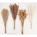 Produktbild: Getrocknete Pampasgrasdekoration 100 Stück Boho Deko Schilfgras Braun Weiß